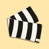 Striped Knit Scarf