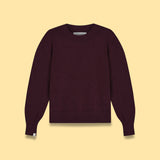 Solid Crew Neck Knit Sweater